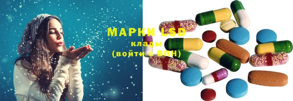 гидра Бородино