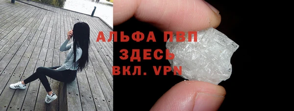 гидра Бородино