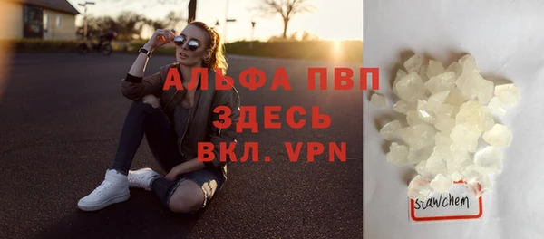 гидра Бородино