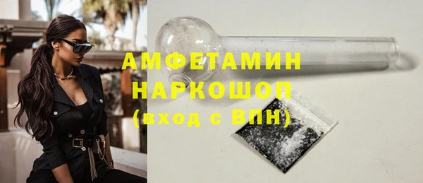 гидра Бородино