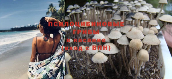 ECSTASY Бронницы