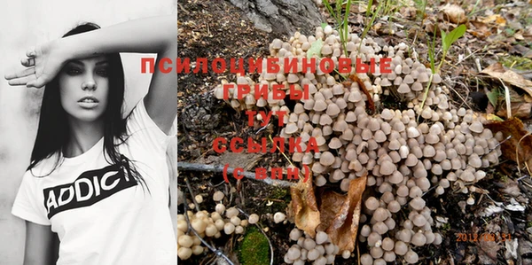 spice Бугульма