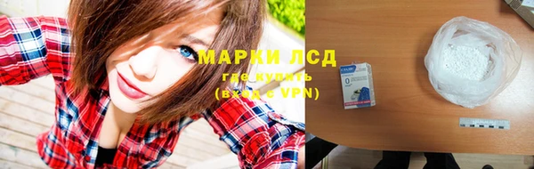 гидра Бородино