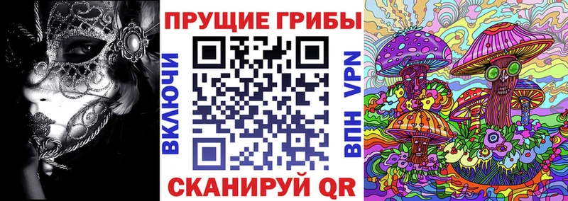 Псилоцибиновые грибы Magic Shrooms  Купить где  Бирск 